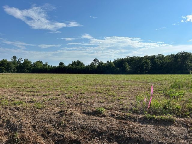 Lot 6, 7.2+-ac Willie Varnum Rd, Cottonwood, AL 36320