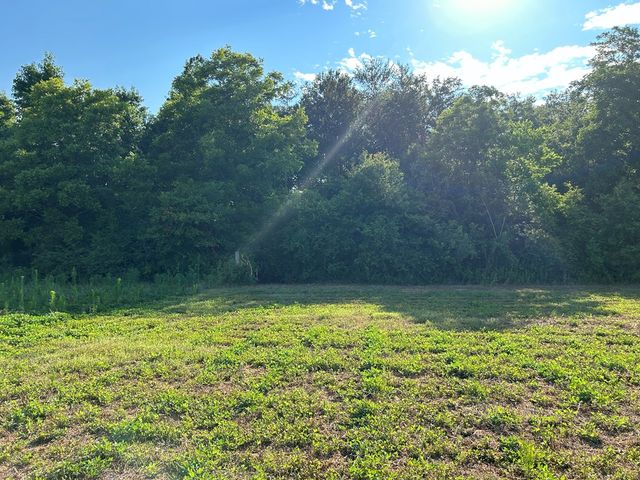 Lot 6, 7.2+-ac Willie Varnum Rd, Cottonwood, AL 36320