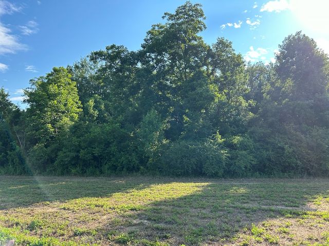 Lot 6, 7.2+-ac Willie Varnum Rd, Cottonwood, AL 36320