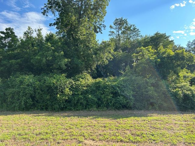 Lot 6, 7.2+-ac Willie Varnum Rd, Cottonwood, AL 36320