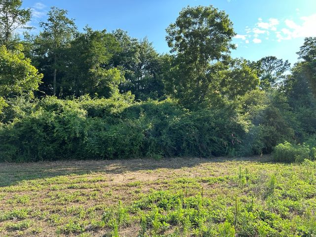 Lot 6, 7.2+-ac Willie Varnum Rd, Cottonwood, AL 36320