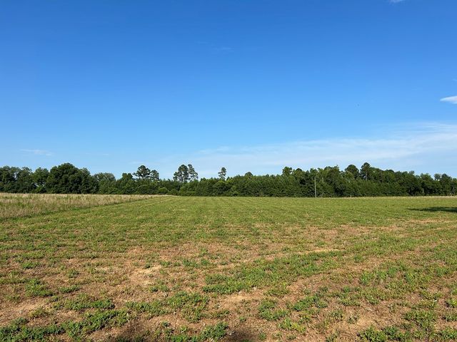 Lot 6, 7.2+-ac Willie Varnum Rd, Cottonwood, AL 36320