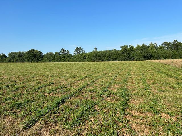 Lot 6, 7.2+-ac Willie Varnum Rd, Cottonwood, AL 36320