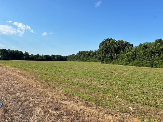 Lot 6, 7.2+-ac Willie Varnum Rd, Cottonwood, AL 36320