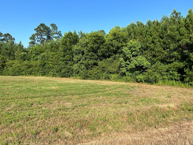 Lot 6, 7.2+-ac Willie Varnum Rd, Cottonwood, AL 36320