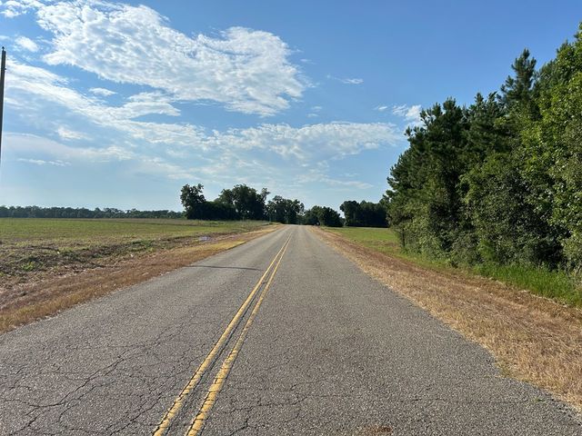Lot 6, 7.2+-ac Willie Varnum Rd, Cottonwood, AL 36320