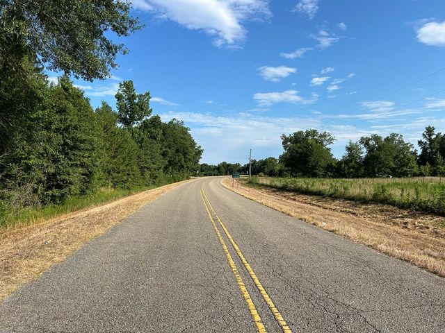 Lot 6, 7.2+-ac Willie Varnum Rd, Cottonwood, AL 36320