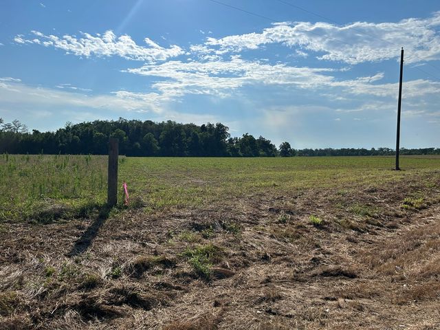 Lot 6, 7.2+-ac Willie Varnum Rd, Cottonwood, AL 36320