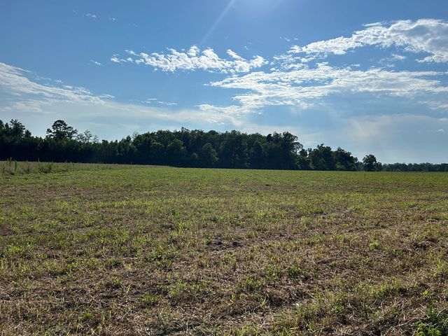Lot 6, 7.2+-ac Willie Varnum Rd, Cottonwood, AL 36320