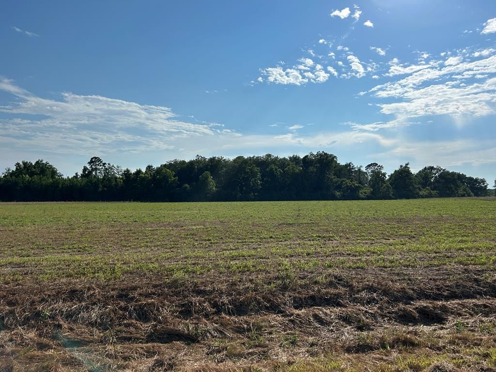 Lot 6, 7.2+-ac Willie Varnum Rd, Cottonwood, AL 36320