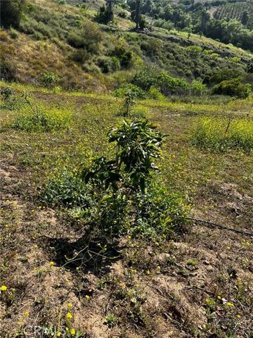 24385 Terreno, Temecula, CA 92590