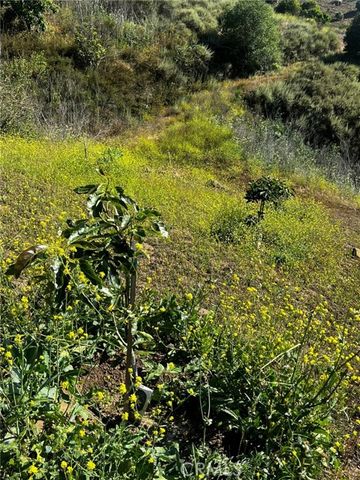 24385 Terreno, Temecula, CA 92590