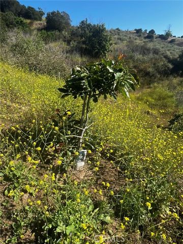 24385 Terreno, Temecula, CA 92590