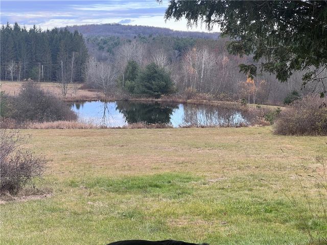 569 Wilbur Hill Road, Butternuts, NY 13849