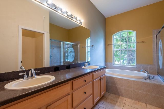 21629 SILVER BAY PLACE, Land O Lakes, FL 34637