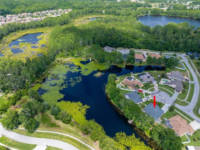 21629 SILVER BAY PLACE, Land O Lakes, FL 34637