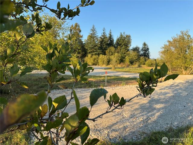 3580 Arnie Road, Custer, WA 98240