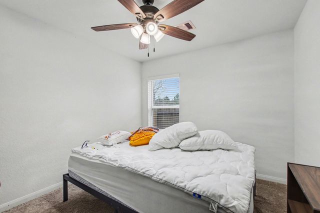 22622 Steel Blue Jaybird Drive, Hockley, TX 77447