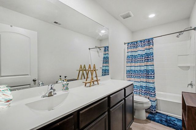 22622 Steel Blue Jaybird Drive, Hockley, TX 77447