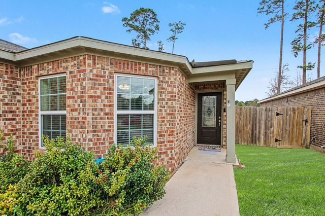 22622 Steel Blue Jaybird Drive, Hockley, TX 77447