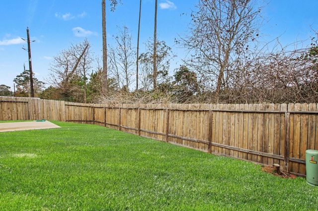 22622 Steel Blue Jaybird Drive, Hockley, TX 77447