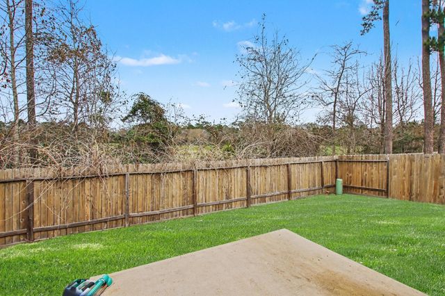 22622 Steel Blue Jaybird Drive, Hockley, TX 77447