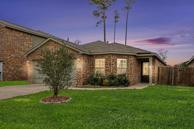 22622 Steel Blue Jaybird Drive, Hockley, TX 77447