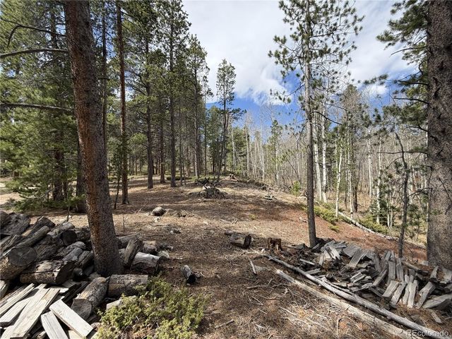 322 Morning Star Circle, Black Hawk, CO 80422