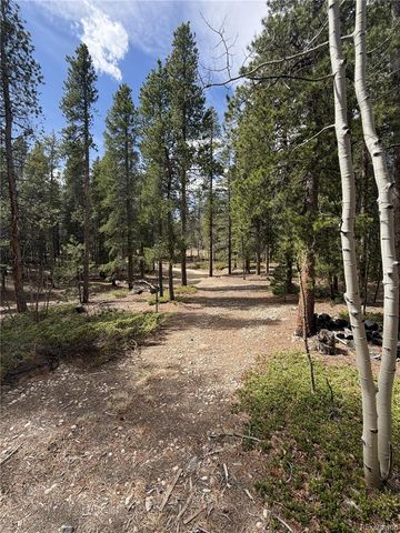 322 Morning Star Circle, Black Hawk, CO 80422