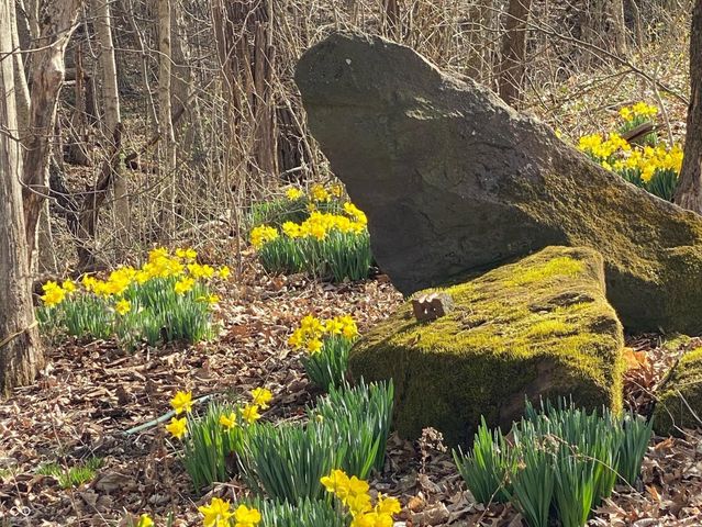 6070 S 1000 E, Brazil, IN 47834