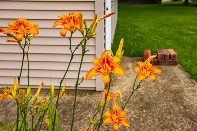 502 Sycamore Street, West Union, OH 45693