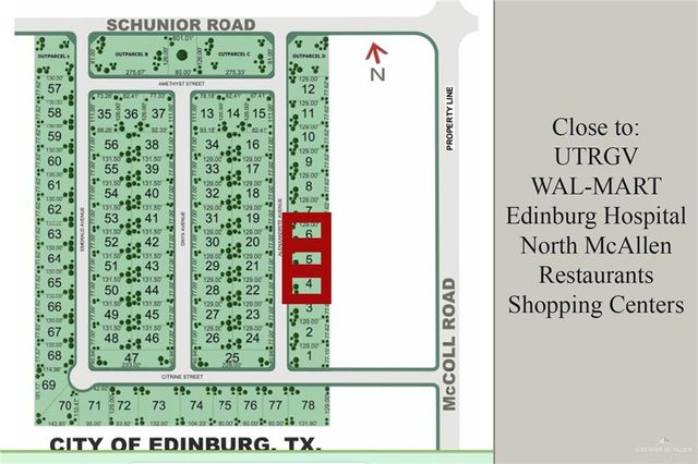 709 N Emerald Avenue, Edinburg, TX 78541