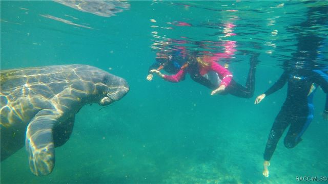 1926 W Rolling Place, Citrus Springs, FL 34434