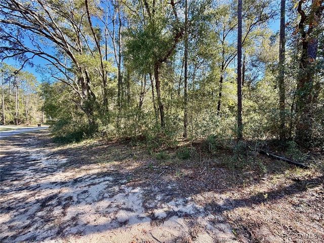 1926 W Rolling Place, Citrus Springs, FL 34434