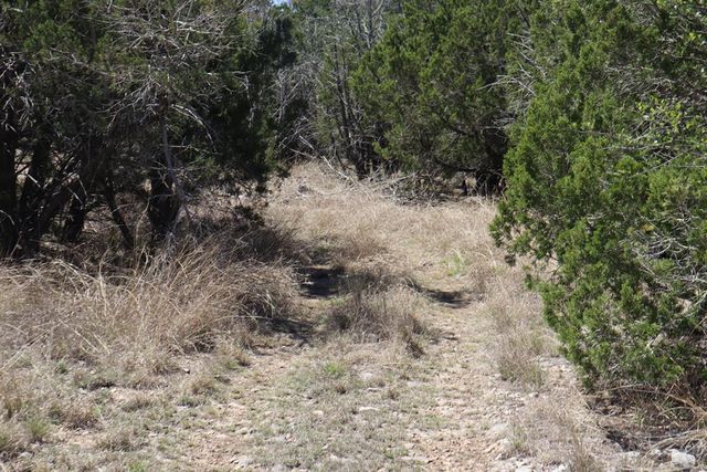 462 Schenk-Witkowski Rd, Rocksprings, TX 78880