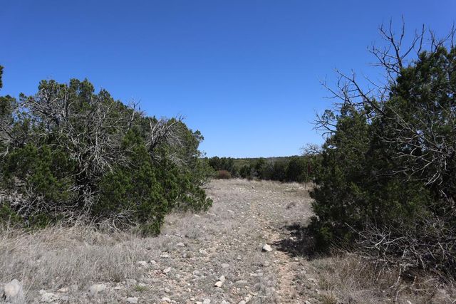 462 Schenk-Witkowski Rd, Rocksprings, TX 78880