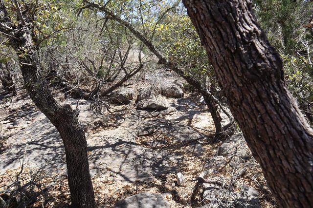 462 Schenk-Witkowski Rd, Rocksprings, TX 78880