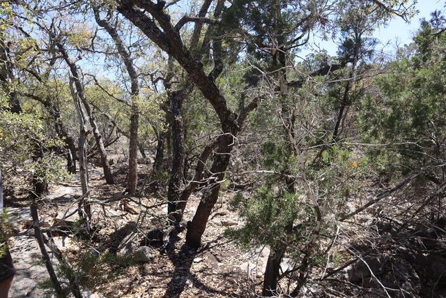 462 Schenk-Witkowski Rd, Rocksprings, TX 78880