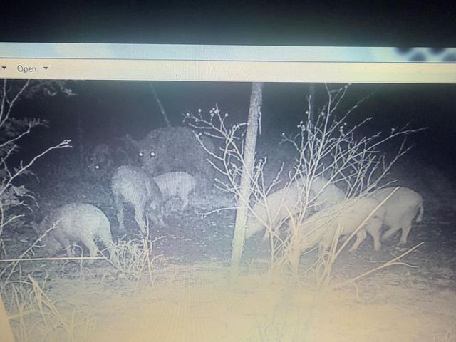 462 Schenk-Witkowski Rd, Rocksprings, TX 78880