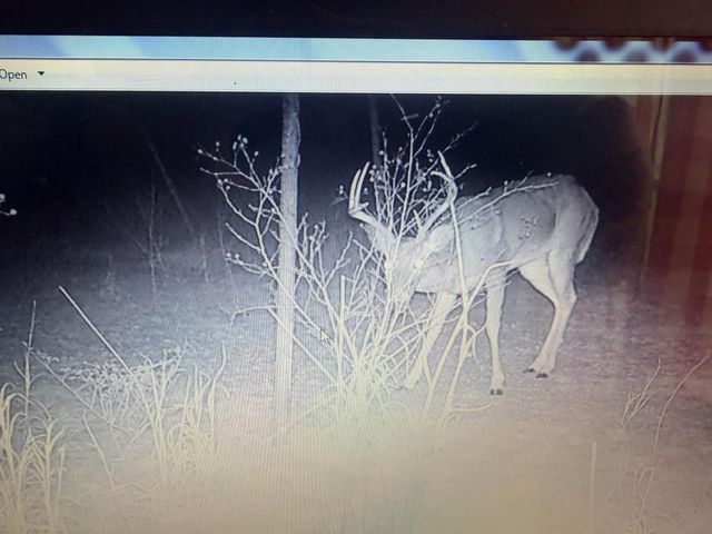 462 Schenk-Witkowski Rd, Rocksprings, TX 78880