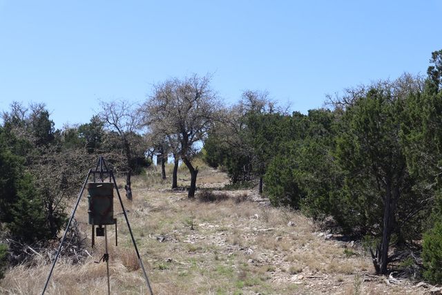 462 Schenk-Witkowski Rd, Rocksprings, TX 78880