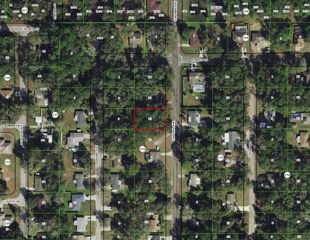 3366 S APOPKA AVENUE, Inverness, FL 34452