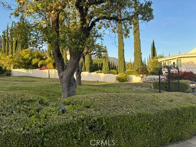 2520 San Antonio East, Upland, CA 91784