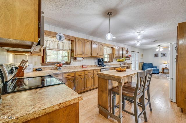 438 Riverview Drive, Johnson City, TN 37601