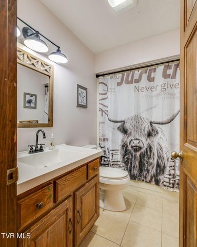438 Riverview Drive, Johnson City, TN 37601