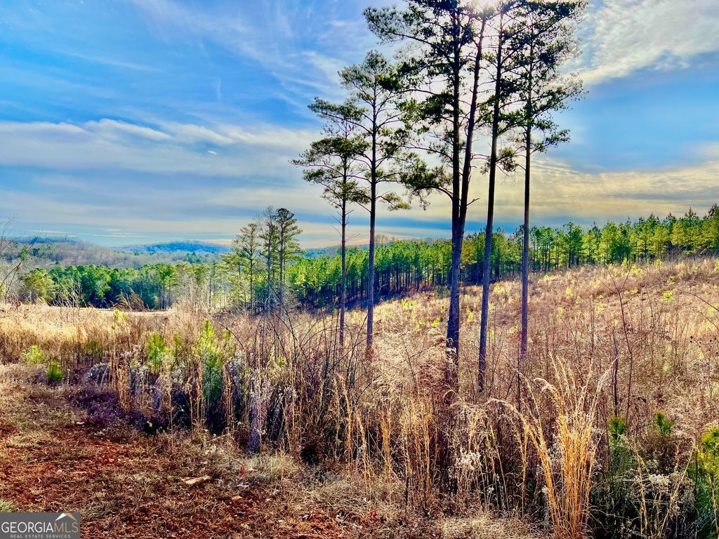 268 Highgrove Drive, Talking Rock, GA 30175