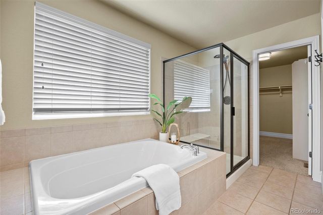 15690 E Indian Brook Circle, Parker, CO 80134