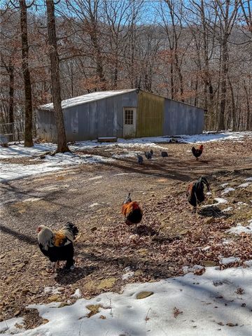 16902 Bethlehem Road, Winslow, AR 72959