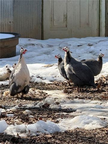 16902 Bethlehem Road, Winslow, AR 72959