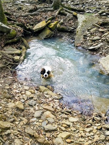 16902 Bethlehem Road, Winslow, AR 72959